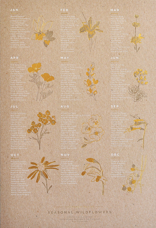CALIFORNIA NATIVE WILDFLOWER POSTER