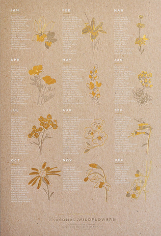 CALIFORNIA NATIVE WILDFLOWER POSTER